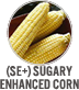 (se+) Sugary Enhanced Corn
