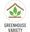Greenhouse Variety