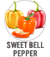 Sweet Bell Pepper