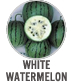 White Watermelon