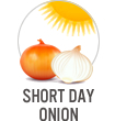 Short Day Onion