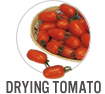 Drying Tomato