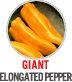 Giant Elongated Pepper