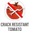 Crack Resistant Tomato