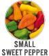 Small Sweet Pepper