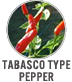 Tabasco Type Pepper