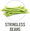 Stringless Beans