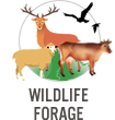 Wildlife Forage