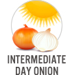 Intermediate Day Onion