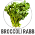 Broccoli Rabb