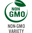 Non-GMO Variety