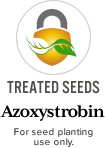 Treated Seeds Azoxystrobin