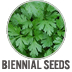 Biennial Seeds