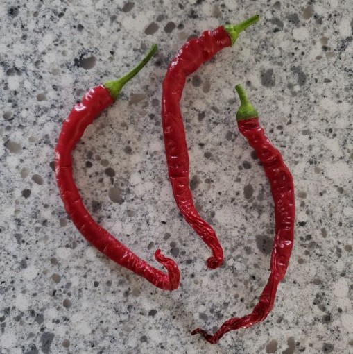 Corbaci Peppers SP115-20