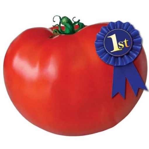 Blue Ribbon Tomato TM939-20