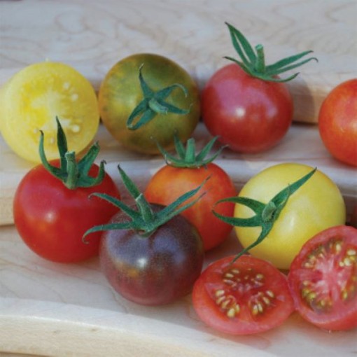 Heirloom Cherry Blend Tomato Seeds