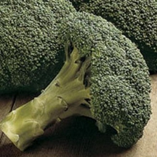 Pack-Pro Broccoli BR4-50