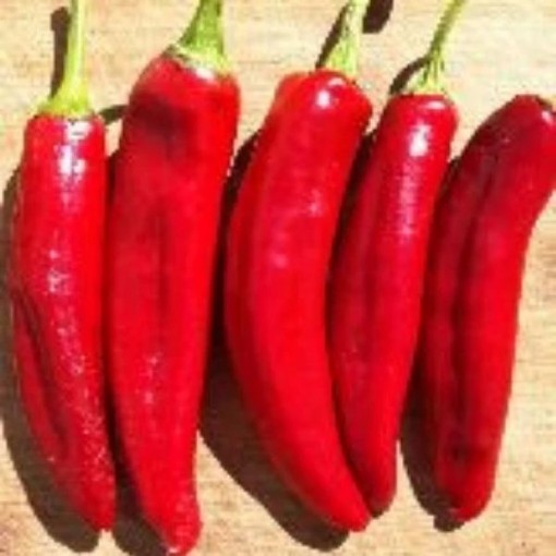 Hungarian Spice Paprika Peppers SP222-10