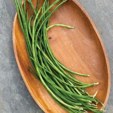 Beans. Reimer Seeds
