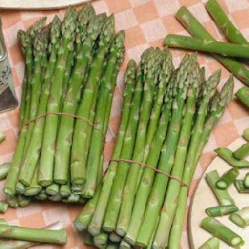 UC 157 F2 Asparagus AS5-100
