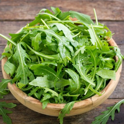 Roquette Arugula AG2-1000