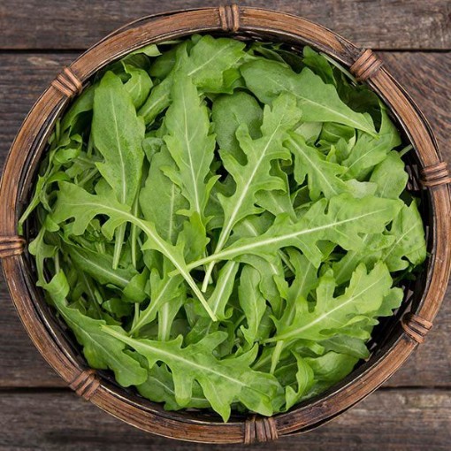 Sylvetta Arugula AG3-1000