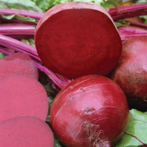 Detroit Supreme Beets BT25-100