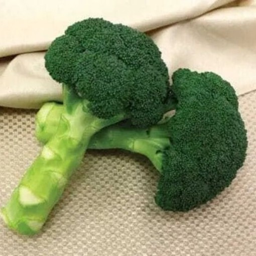 Green Magic Broccoli BR20-100