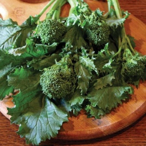 Sorrento Broccoli Raab BR21-200