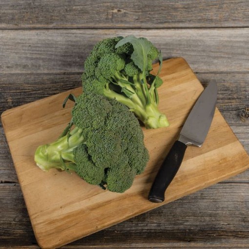Monty Broccoli BR26-100