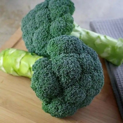 Eastern Magic Broccoli BR33-100