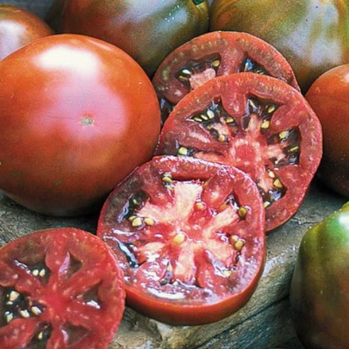 Japanese Black Trifele Tomato TM455-50