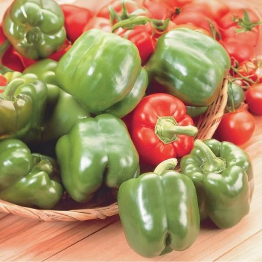 Fat n Sassy Peppers SP26-10