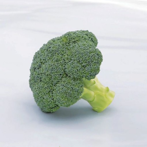 Batory Broccoli BR43-100