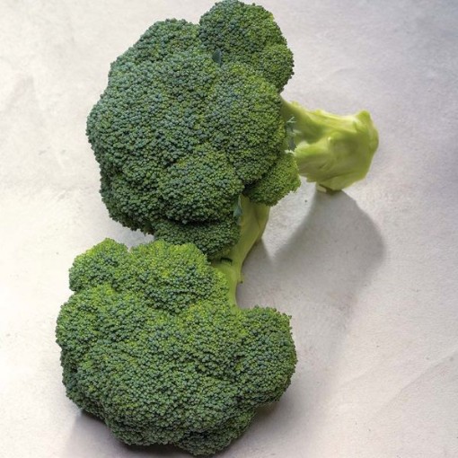 Diplomat Broccoli BR45-100