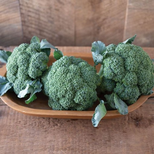 Emerald Crown Broccoli BR46-100