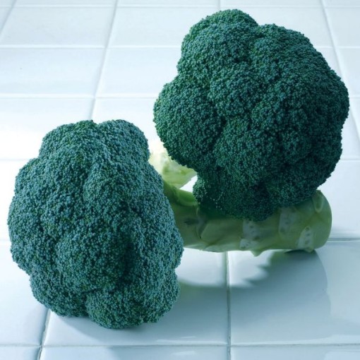 Avenger Broccoli BR52-100