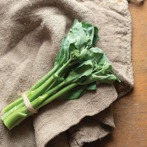 Melody Broccoli BR59-100