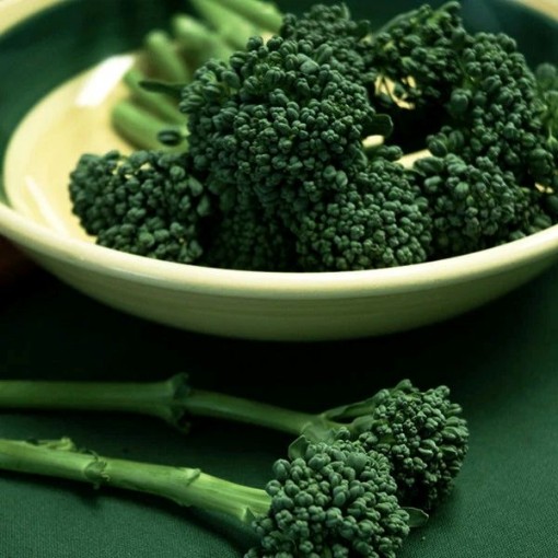 BC 1611 Broccoli BR61-50