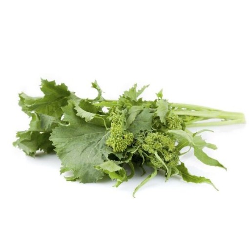 Early Pugliesi Broccoli Raab BR62-100