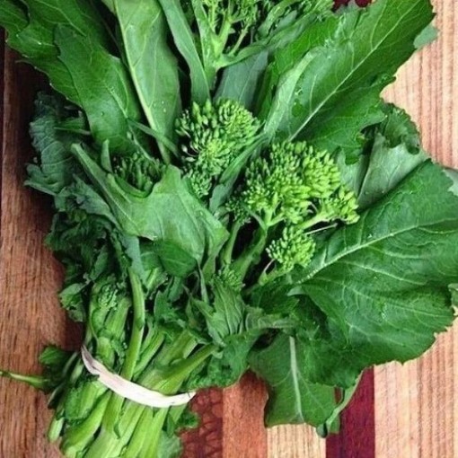 Novantina Riccia di Sarno Italian Broccoli Raab BR63-250