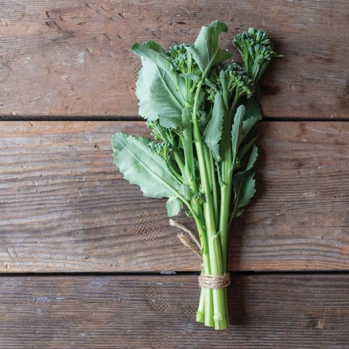 Bella Verde Broccoli BR68-50