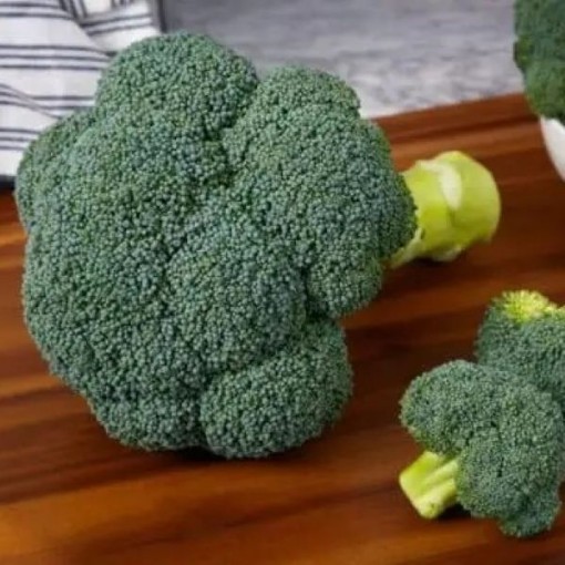 Fortress Broccoli BR72-100