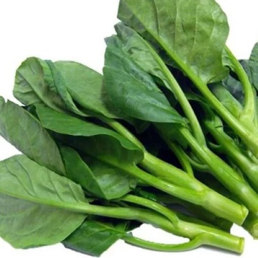 Kailaan Chinese Broccoli BR80-250