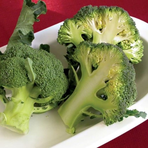 Fiesta Broccoli BR38-100