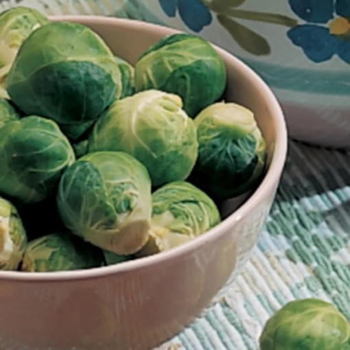 Catskill Improved Brussels Sprouts Seeds BS4-500