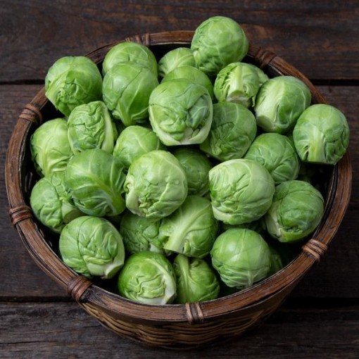 Divino Brussels Sprouts BS10-50