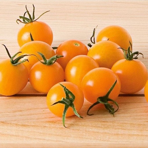 SunSugar Tomato TM280-20