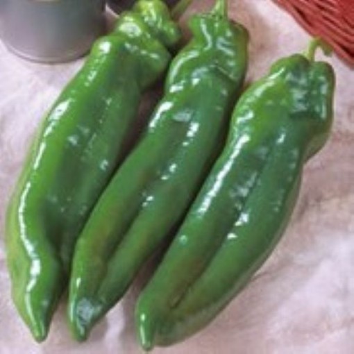 Big Chile Peppers HP28-10