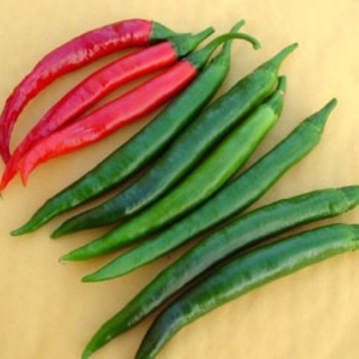 Goat Horn Peppers HP90-20